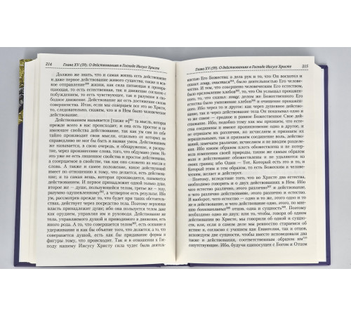 «Точное изложение православной веры» преподобного Иоанна Дамаскина